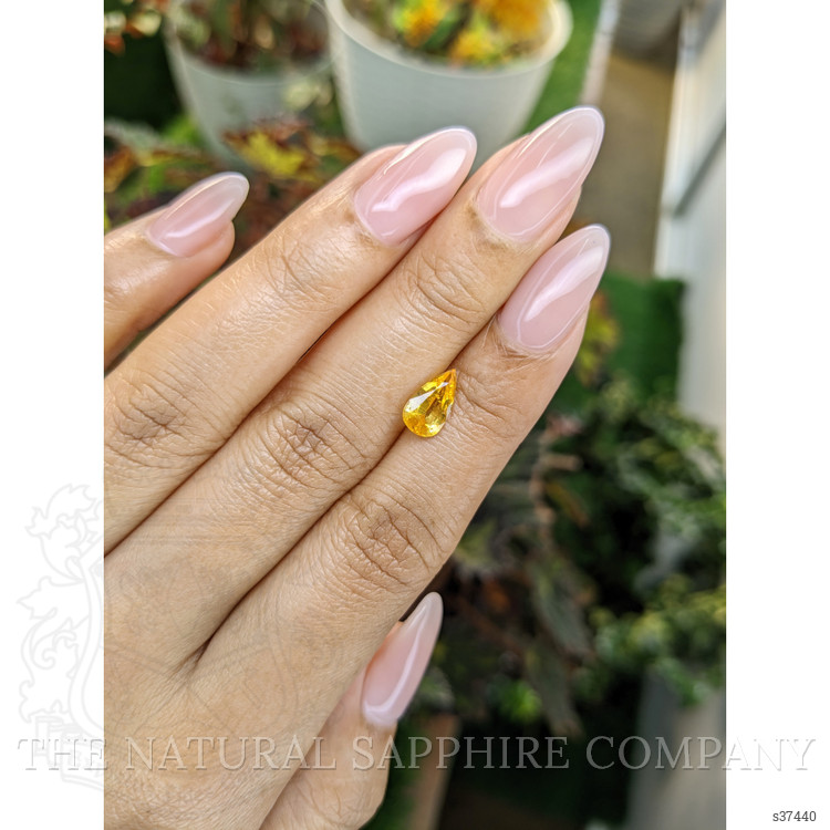 1.38 Ct. Yellow Sapphire from Ceylon (Sri Lanka)