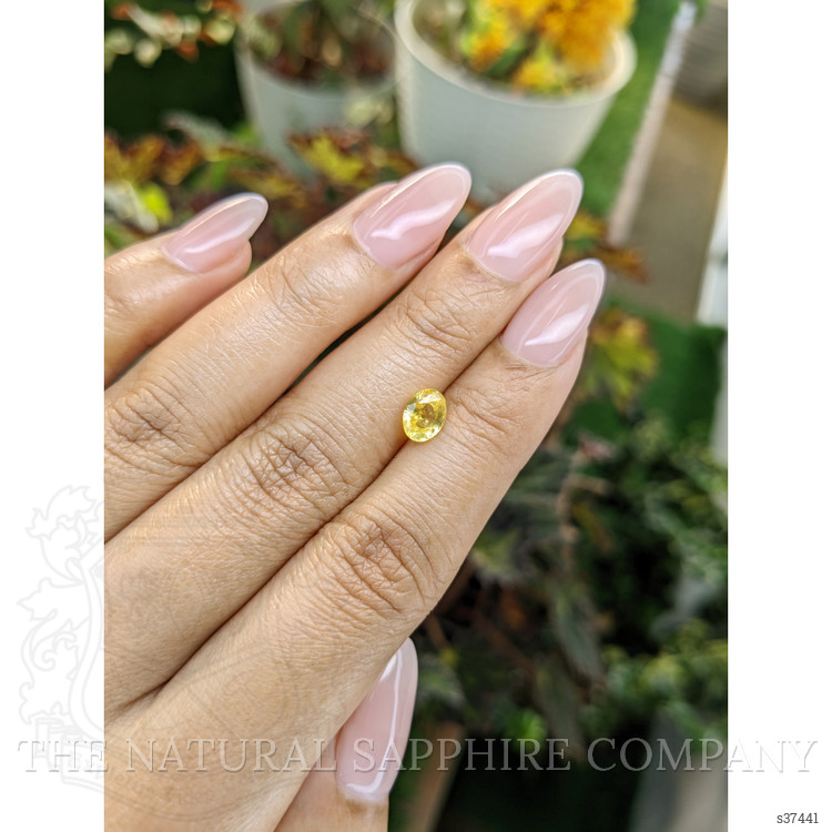 1.07 Ct. Yellow Sapphire from Ceylon (Sri Lanka)
