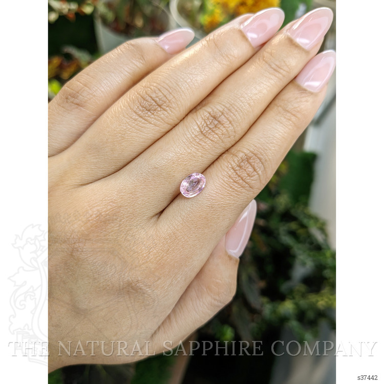 1.46 Ct. Pink Sapphire from Ceylon (Sri Lanka)