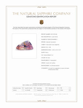 Jewelry Scan Report