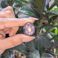 50.05 Ct. Purple Star Sapphire from Ceylon (Sri Lanka) Life Style
