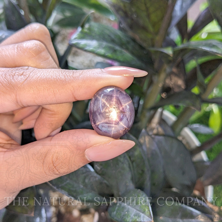 50.05 Ct. Purple Star Sapphire from Ceylon (Sri Lanka)