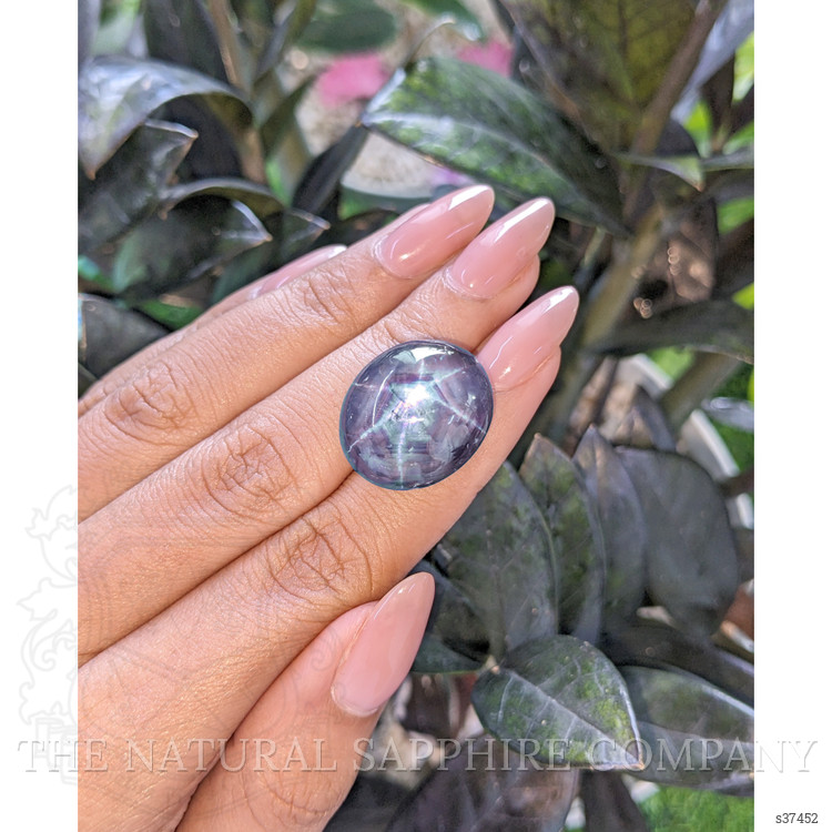 50.05 Ct. Purple Star Sapphire from Ceylon (Sri Lanka)