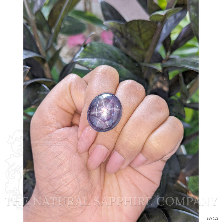 50.05 Ct. Purple Star Sapphire from Ceylon (Sri Lanka)