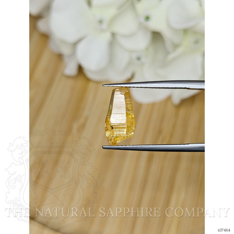 4.67 Ct. Yellow Sapphire Crystal from Ceylon (Sri Lanka)