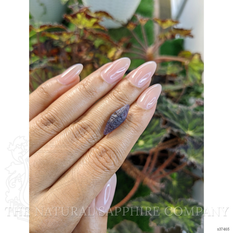 7.09 Ct. Purple Sapphire Crystal from Ceylon (Sri Lanka)