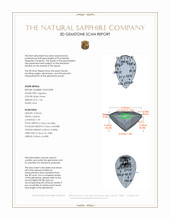 Jewelry 3 D Scan Report