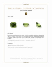 0.51 Ct. Green Sapphire from Ceylon (Sri Lanka) Appraisal