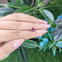 1.58 Ct. Purplish Pink Sapphire from Ceylon (Sri Lanka) Life Style