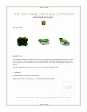 Jewelry Appraisal