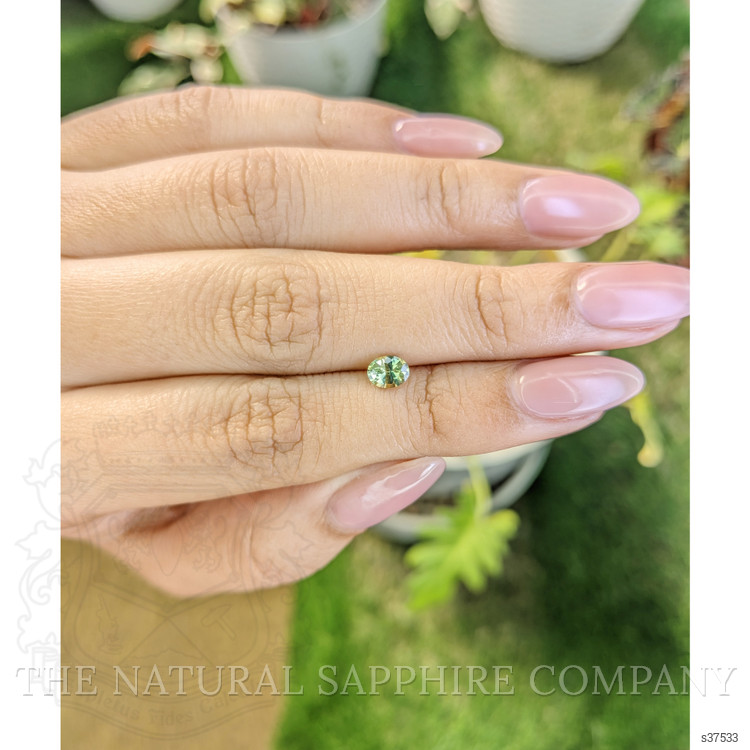 0.54 Ct. Greenish Yellow Sapphire from Madagascar