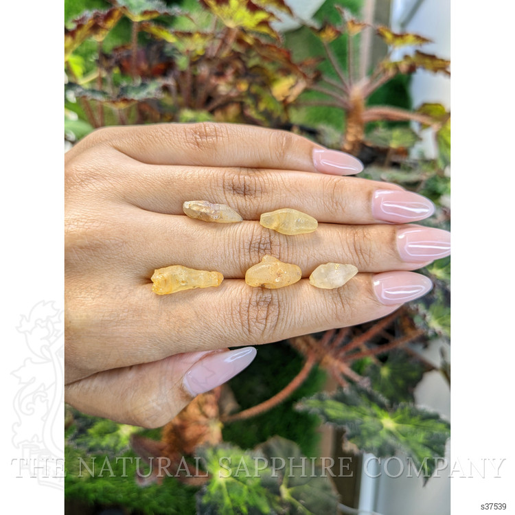 26.80 Ct. Yellow Sapphire Crystal from Ceylon (Sri Lanka)