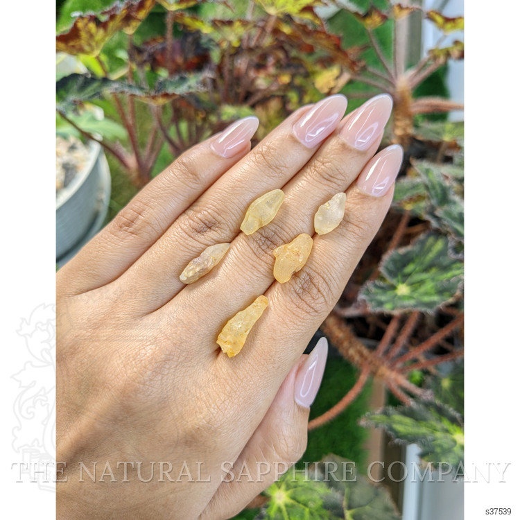 26.80 Ct. Yellow Sapphire Crystal from Ceylon (Sri Lanka)