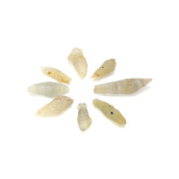 43.46 Ct. Yellow Sapphire Crystal from Ceylon (Sri Lanka) Video