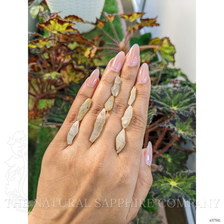 43.46 Ct. Yellow Sapphire Crystal from Ceylon (Sri Lanka)