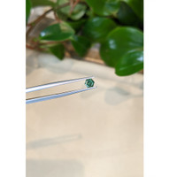 0.42 Ct. Green Sapphire from Montana Life Style