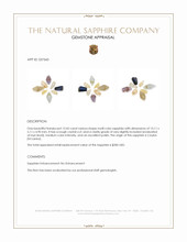 13.42 Ct. Multi Color Sapphire Crystal from Ceylon (Sri Lanka) Appraisal