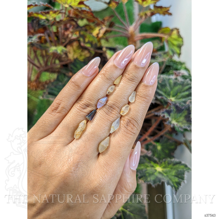 13.42 Ct. Multi Color Sapphire Crystal from Ceylon (Sri Lanka)