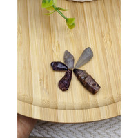 35.10 Ct. Multi Color Sapphire Crystal from Ceylon (Sri Lanka) Life Style