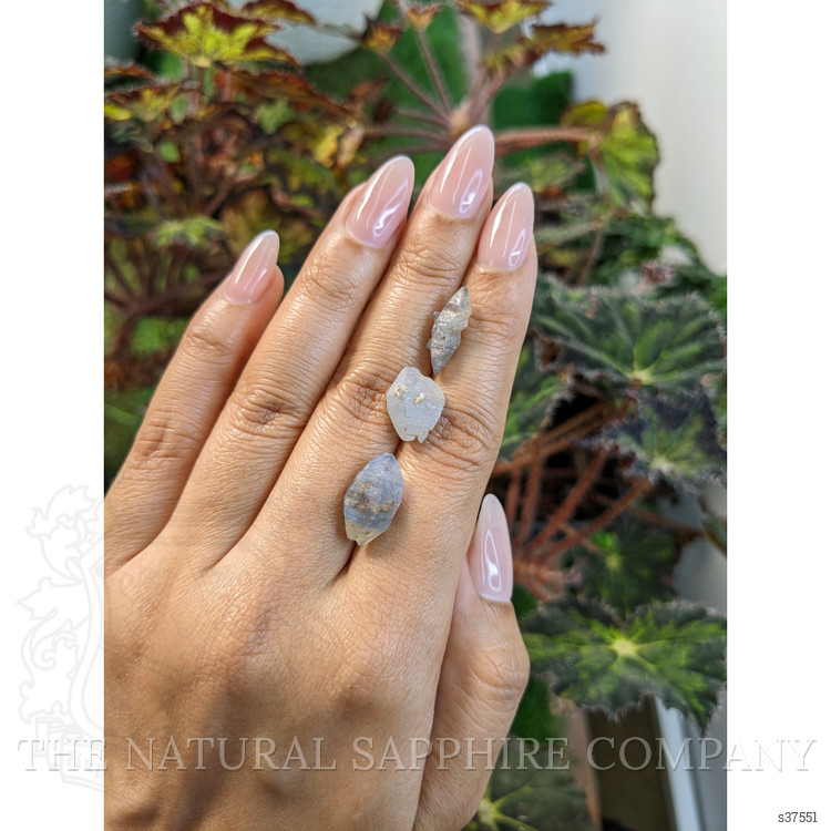 18.49 Ct. Blue Sapphire Crystal from Ceylon (Sri Lanka)