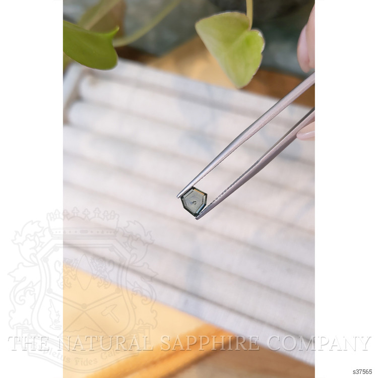 0.81 Ct. Bluish Green Sapphire from Montana