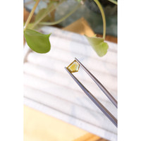 1.29 Ct. Bi Color Sapphire from Montana Life Style