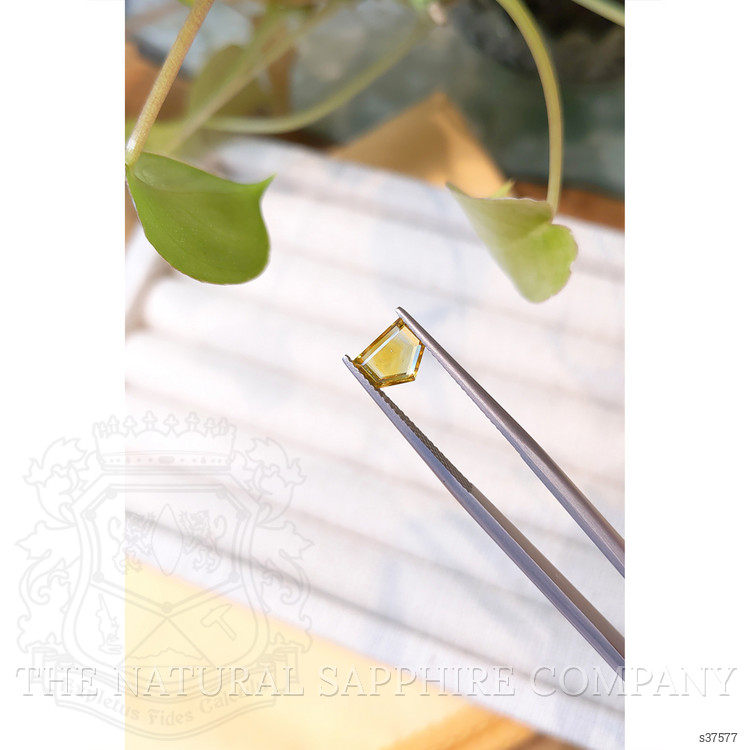 1.29 Ct. Bi Color Sapphire from Montana
