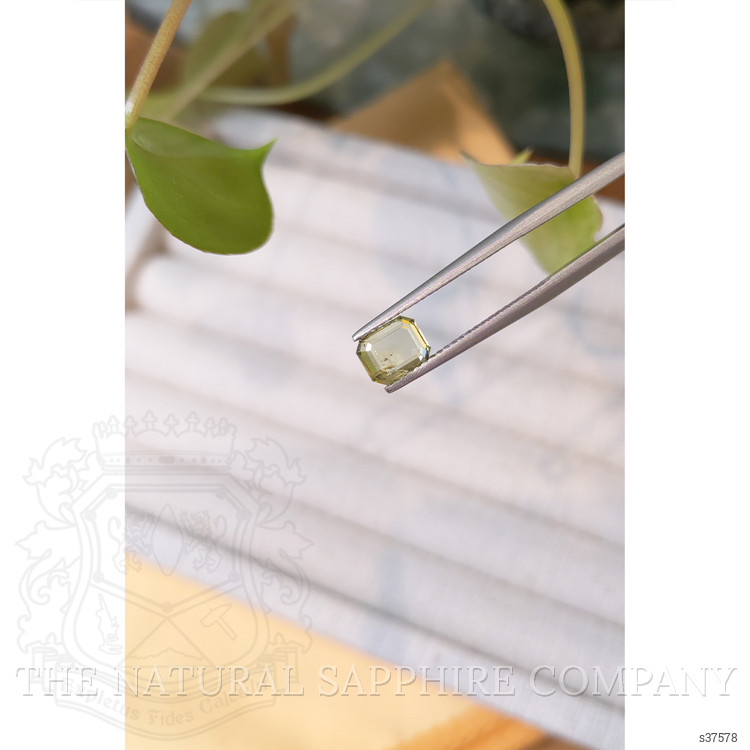 1.30 Ct. Greenish Yellow Sapphire from Montana