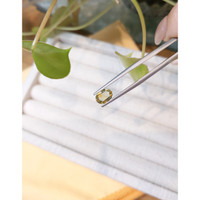 1.21 Ct. Yellow Sapphire from Montana Life Style