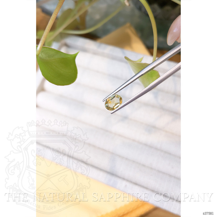 1.21 Ct. Yellow Sapphire from Montana