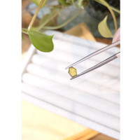 0.72 Ct. Yellow Sapphire from Montana Life Style