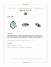 0.74 Ct. Bluish Green Sapphire from Montana Appraisal