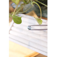 0.74 Ct. Bluish Green Sapphire from Montana Life Style