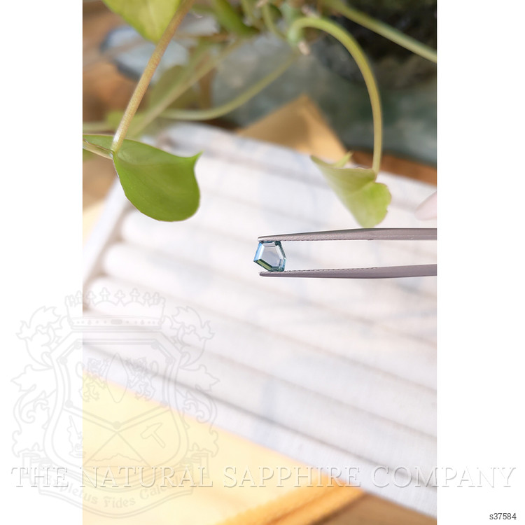 0.74 Ct. Bluish Green Sapphire from Montana