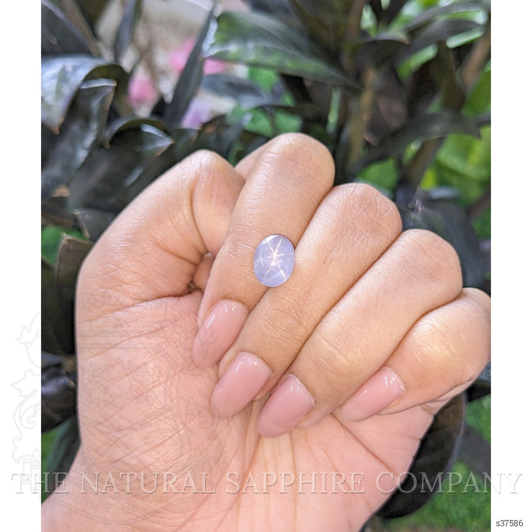 4.83 Ct. Purple Star Sapphire from Ceylon (Sri Lanka)