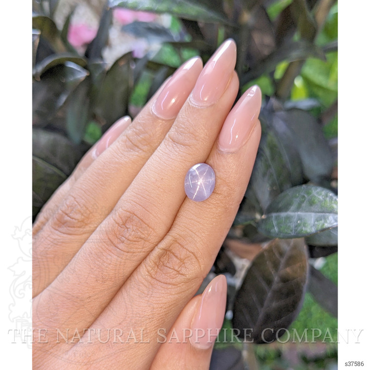 4.83 Ct. Purple Star Sapphire from Ceylon (Sri Lanka)