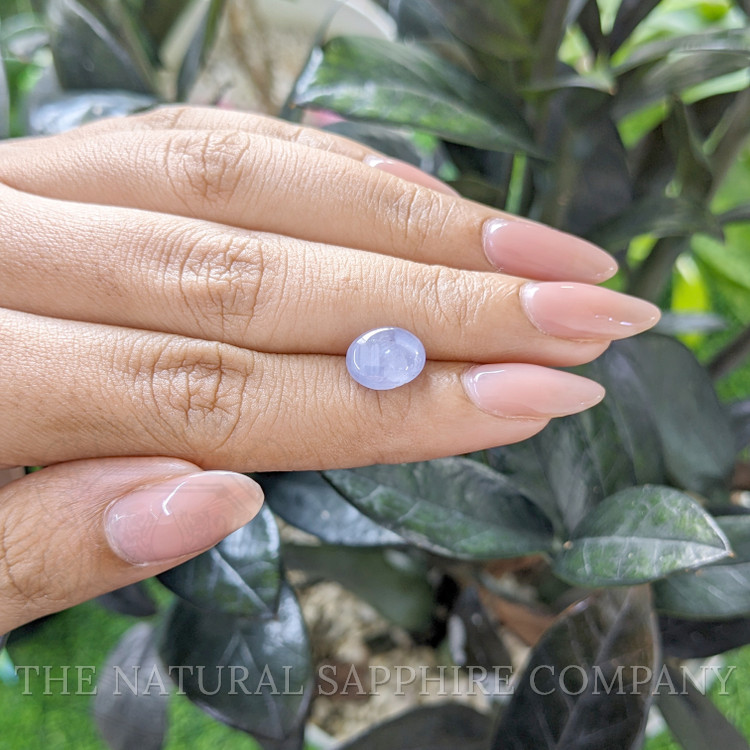 4.83 Ct. Purple Star Sapphire from Ceylon (Sri Lanka)