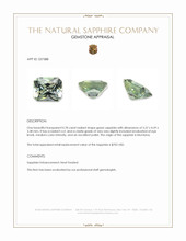 Jewelry Appraisal