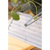 0.78 Ct. Green Sapphire from Montana Life Style