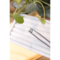 0.67 Ct. Bluish Green Sapphire from Montana Life Style