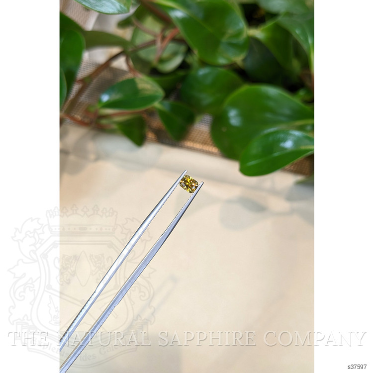 0.70 Ct. Yellow Sapphire from Montana