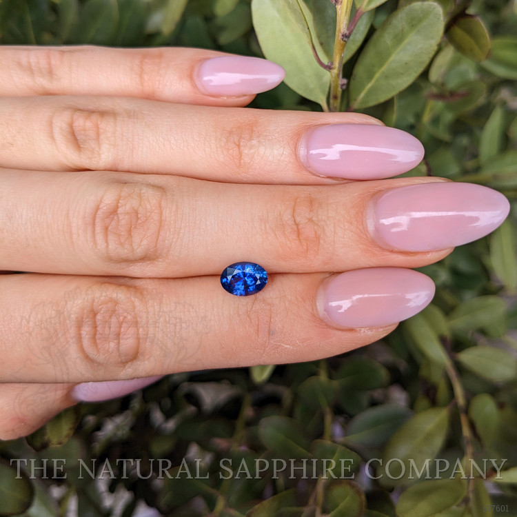 1.38 Ct. Blue Sapphire from Ceylon (Sri Lanka)