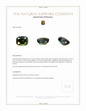 0.74 Ct. Bluish Green Sapphire from Ceylon (Sri Lanka) Appraisal