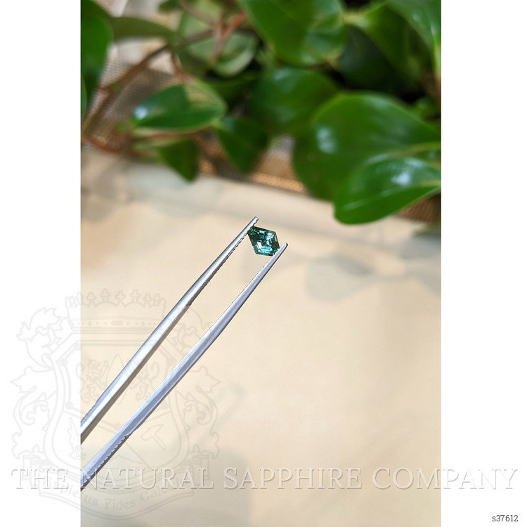 0.68 Ct. Bluish Green Sapphire from Montana