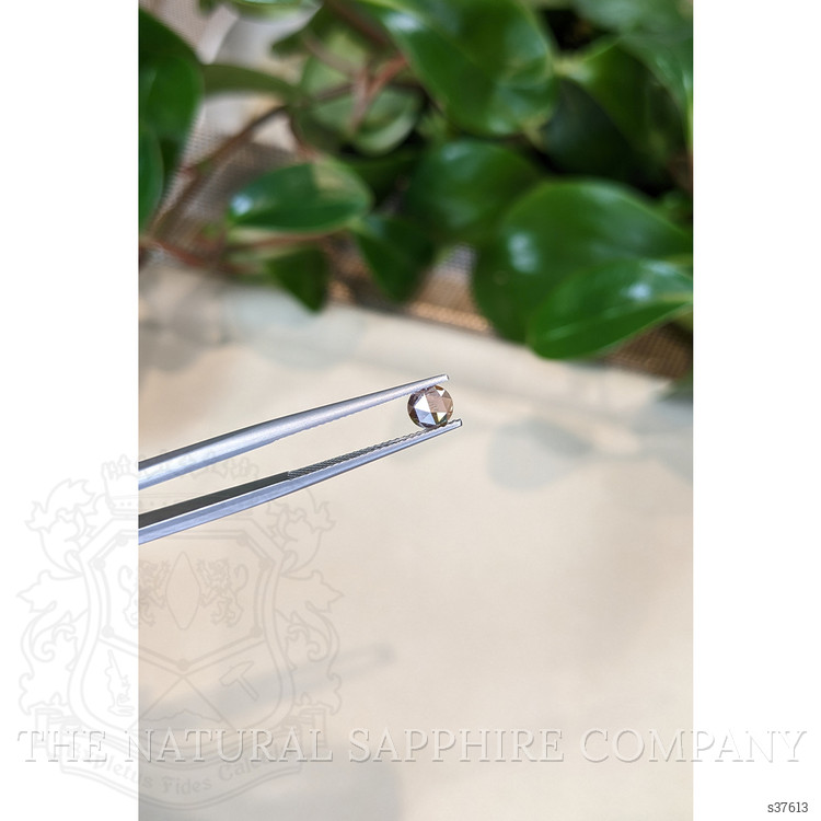 0.51 Ct. Pink Sapphire from Montana