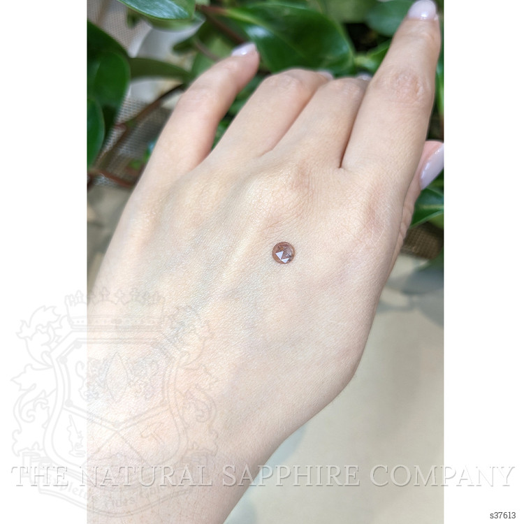 0.51 Ct. Pink Sapphire from Montana