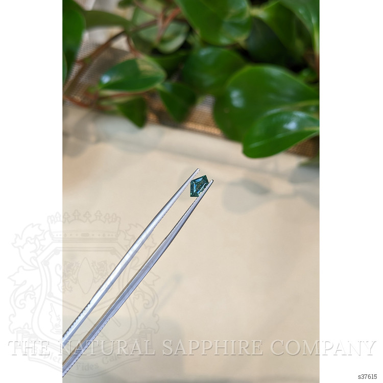 0.51 Ct. Bluish Green Sapphire from Montana