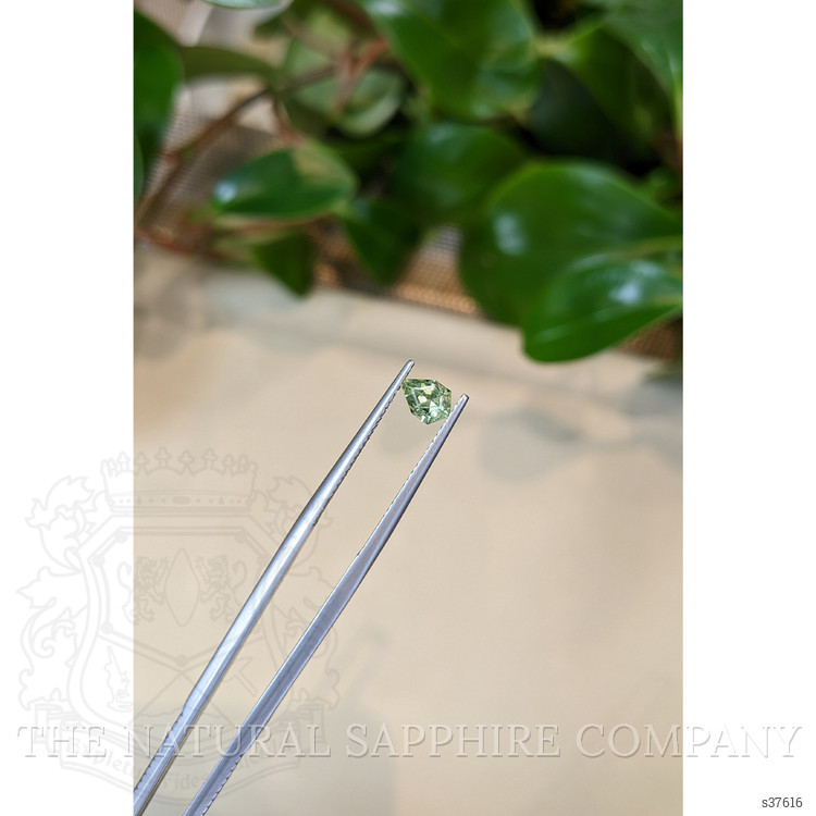 0.52 Ct. Green Sapphire from Montana