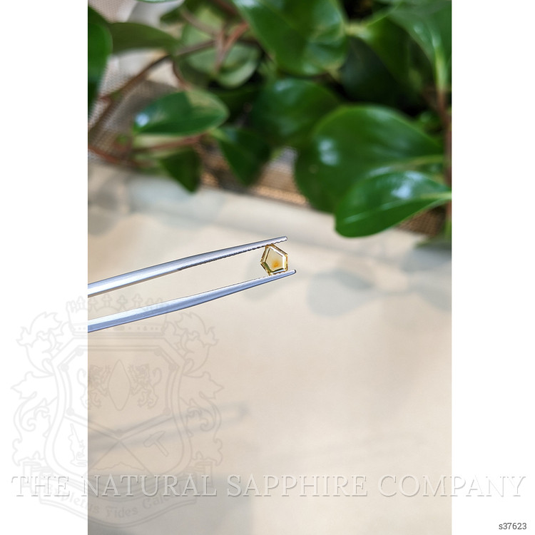 0.61 Ct. Yellow Sapphire from Montana