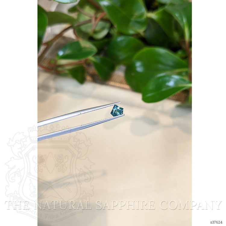 0.66 Ct. Bluish Green Sapphire from Montana